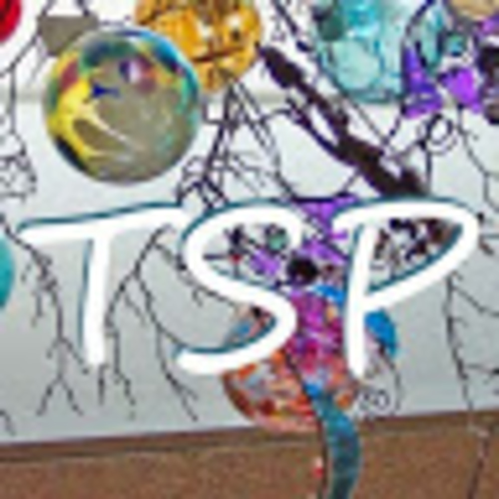 Meet your Posher, Tsp